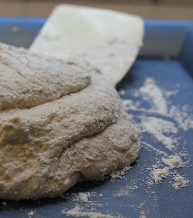 Using a scraper, work the dough gently into a floured ball